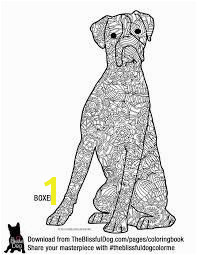 Image result for boxer dog face coloring page Dog Coloring Page Coloring Book Pages