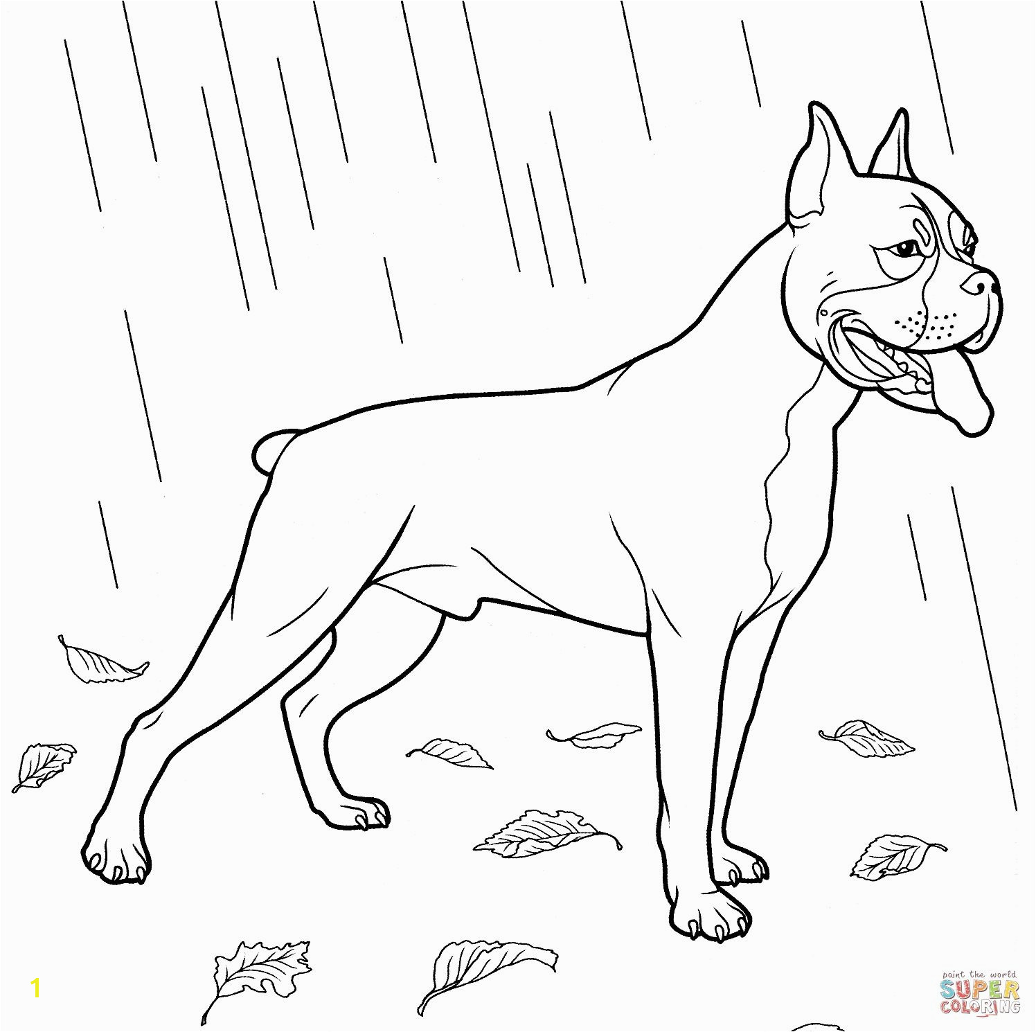 Dog Coloring Pages