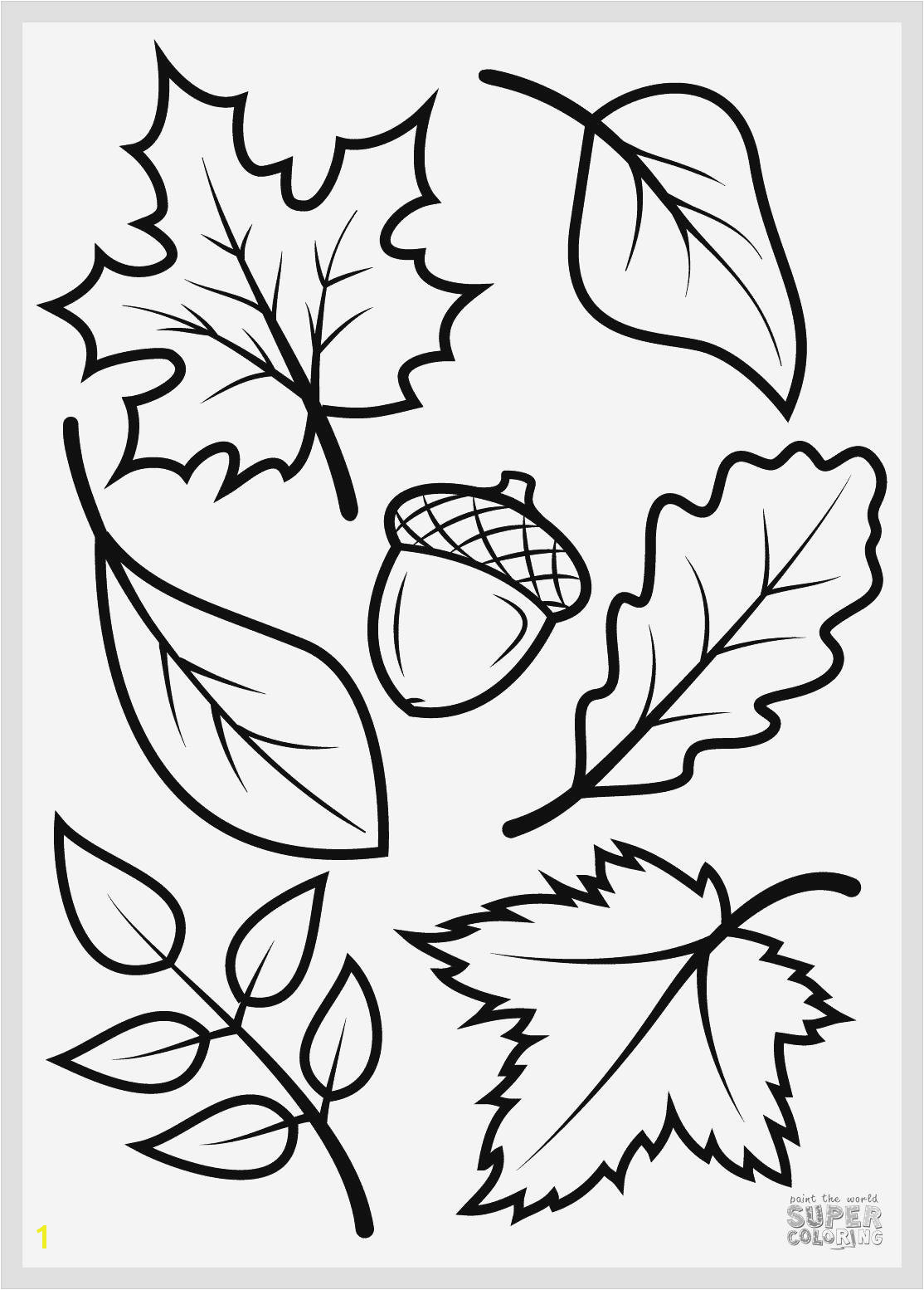 Printable Coloring Pages Squirrels Inspirational Engaging Fall 33