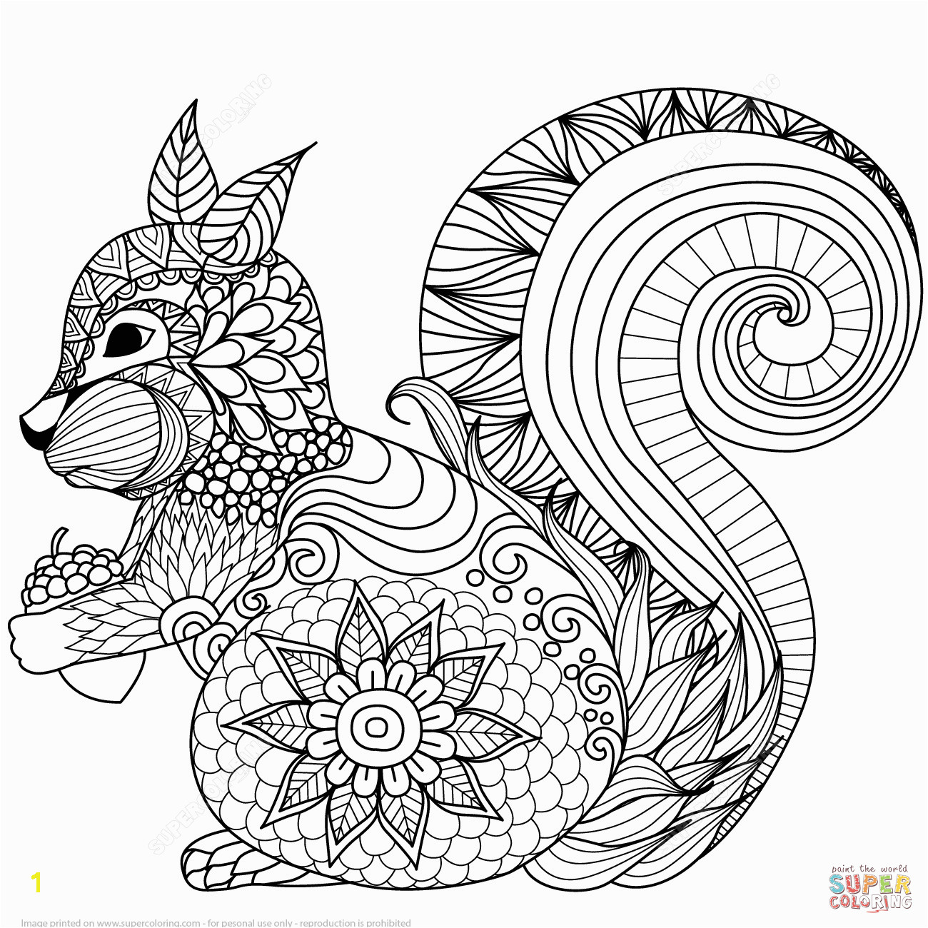 Lovely Squirrel Zentangle coloring page