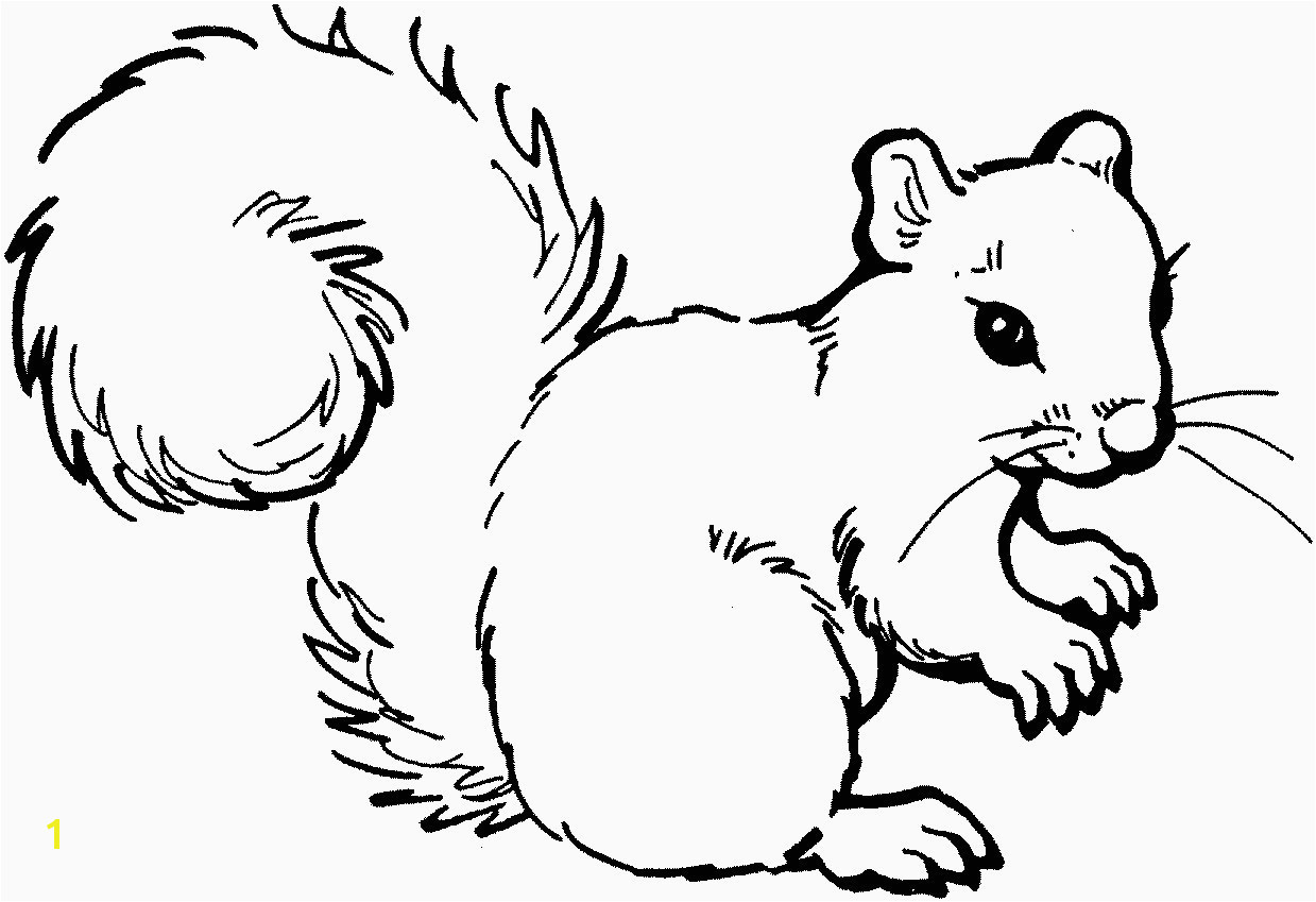 Printable Coloring Pages Of Squirrels Printable Coloring Pages Squirrels Beautiful Free Coloring Pages