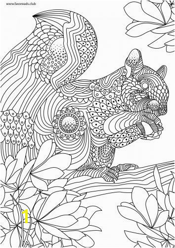 Squirrel printable adult coloring page More