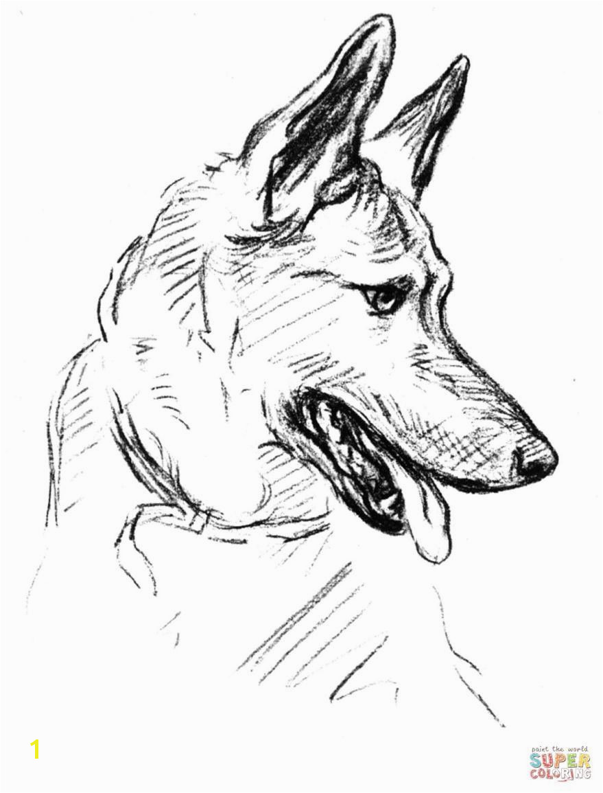 baby german shepherd coloring pages › mrengmengnk