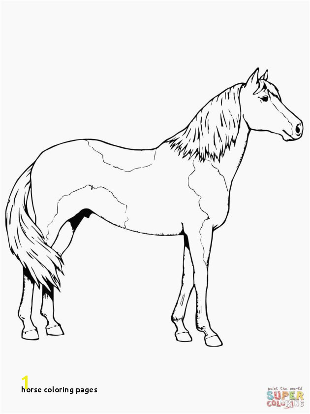 Printable Horse Coloring Pages for Adults Horse Coloring Pages Horse Printable Coloring Pages Kids Coloring