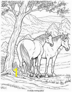 Wild Horse Coloring Pages i§in resim sonucu