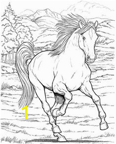 Free coloring page coloring adult horse A galloping horse