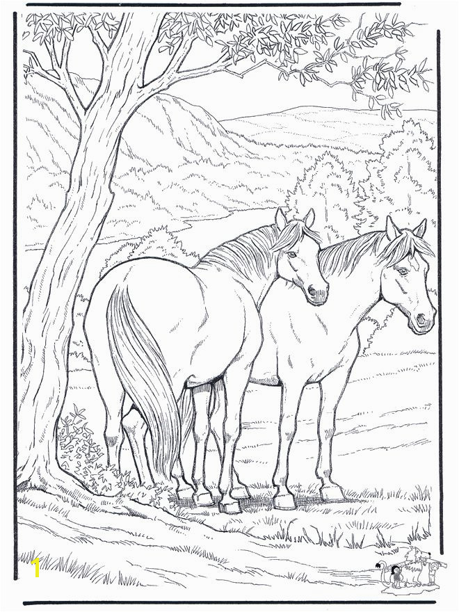 200 Best Horse Lovers Coloring Books Pinterest Beautiful Horse Coloring Pages