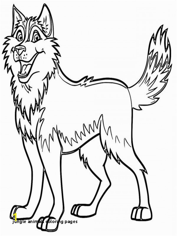Rainforest Animal Coloring Pages Frog Rainforest Animals Coloring Pages