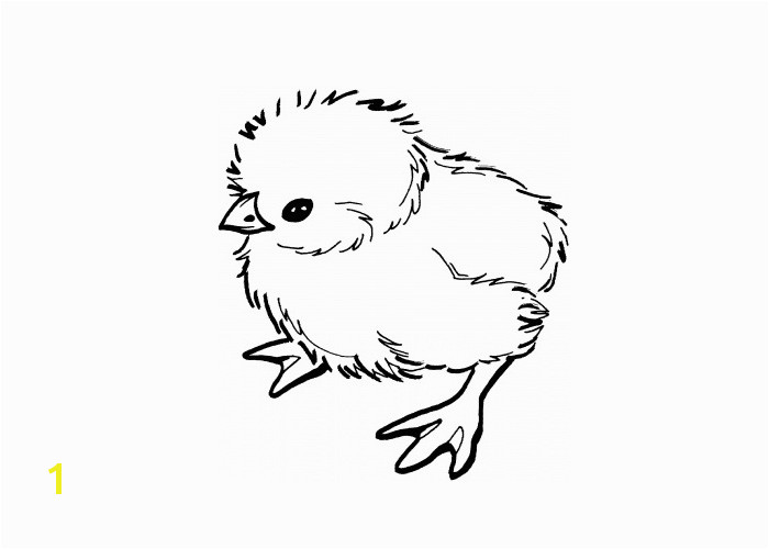 free realistic coloring pages of animals babies