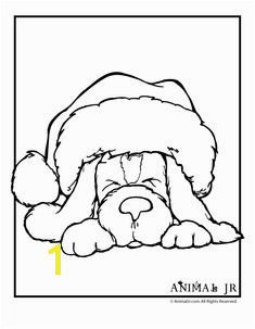 Christmas Puppy Coloring Page 1 Santa Coloring Pages Adult Coloring Pages Puppy Coloring Pages