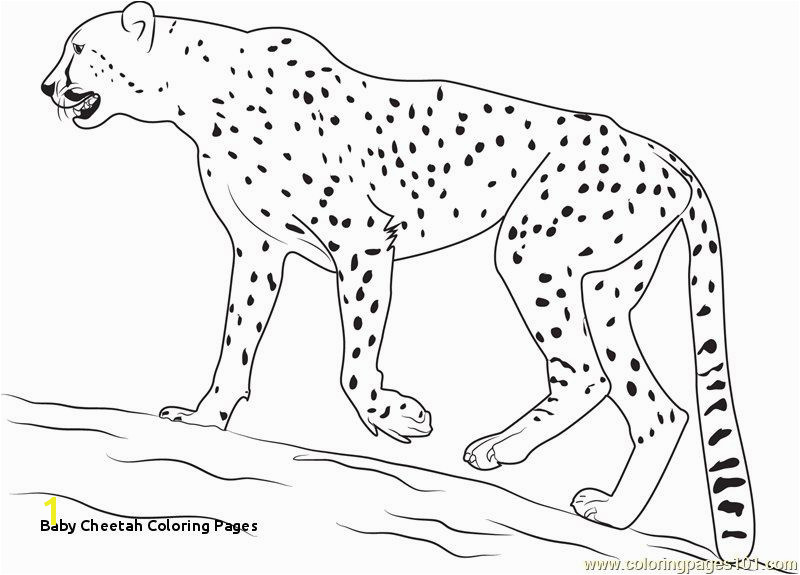 30 Baby Cheetah Coloring Pages
