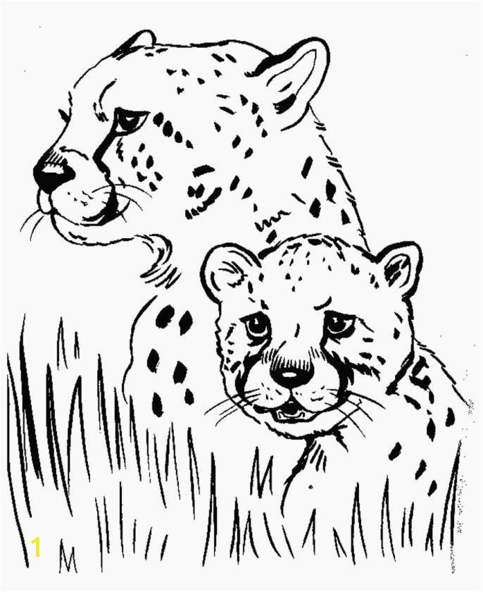 Best 12 Luxury Free Printable Realistic Animal Coloring Pages Ideas