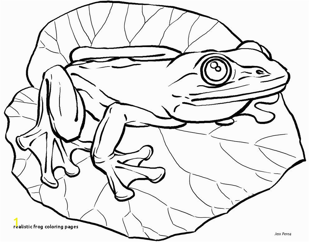 Realistic Coloring Pages Best Frog Coloring Pages Fresh Frog