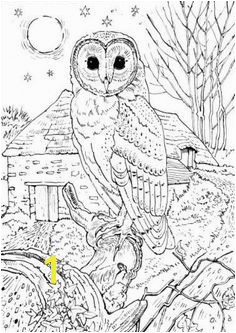 Realistic Owl in a full moon night coloring page for grown ups Owl Coloring Pages