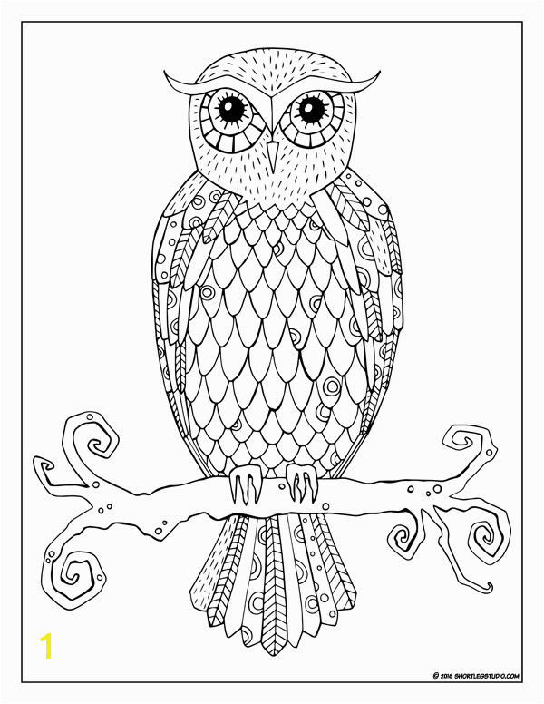 Realistic Owl Coloring Pages Flora and Fauna Coloring Sheets — Short Leg Studio