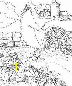Rhode Island Red and Violet Animal Coloring Pages Coloring Book Pages Chicken Drawing