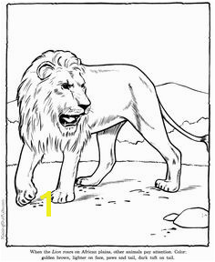 Lion coloring page sheet Zoo animals Zoo Animal Coloring Pages Mermaid Coloring Pages