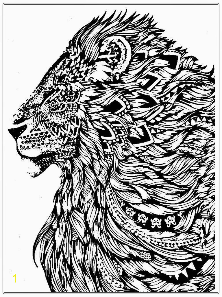 Free Lion Coloring Pages For Adult