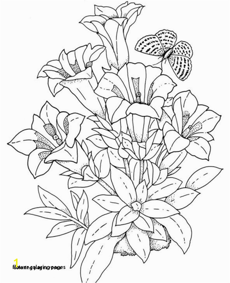 Coloring Pages Roses Simple Flower Coloring Pages Lovely Best Coloring Page Adult Od Kids