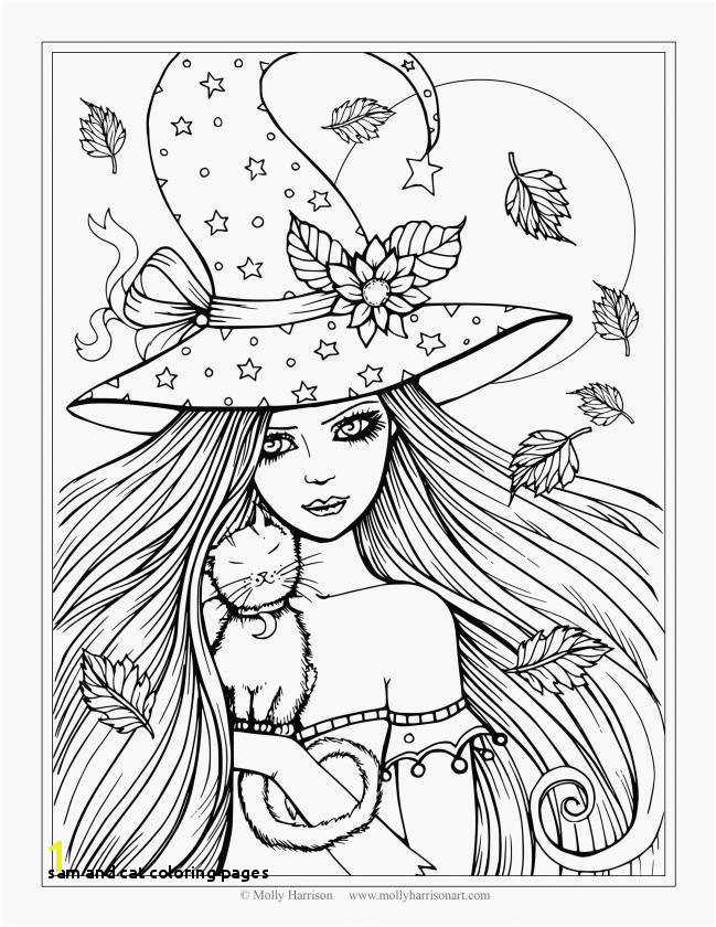 Luxury Witch Coloring Page Inspirational Crayola Pages 0d Coloring