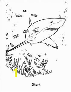 Free Printable Shark Coloring Pages For Kids