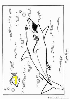 Great white shark coloring page Shark Coloring Pages Coloring Pages To Print Shark Facts