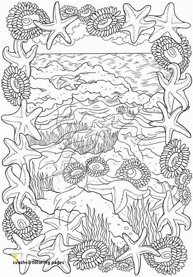 Seashell Coloring Pages Bliss Seashore Coloring Book Your Passport to Calm