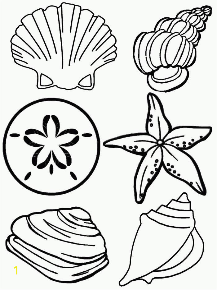 22 Luxury Shell Coloring Pages Ideas