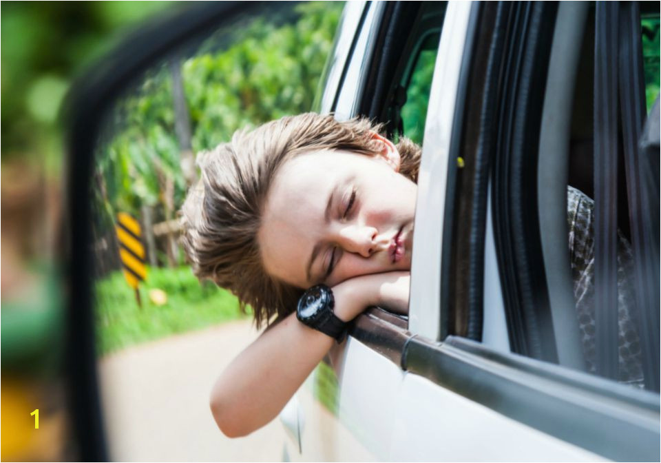 child resting with head out the car window