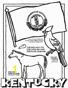 Kentucky Unit Study State Symbol Coloring Page by Crayola Print or color online Preschool