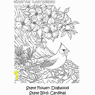 North Carolina Coloring Page