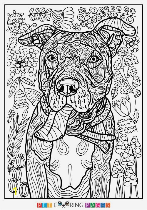 Pages Smoky Mountain Coloring Related Post