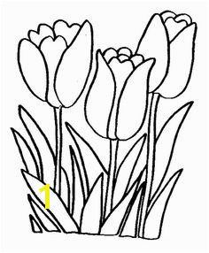 Tulips Printable Flower Coloring Pages Coloring Pages For Kids Coloring Books Printable Coloring