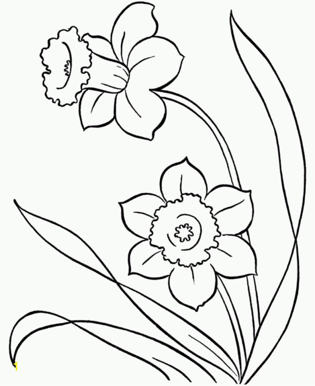 Snowdrop Coloring Pages Line Drawings Of Snowdrops Google Search