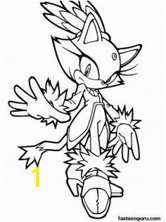 Printable Sonic the Hedgehog Blaze Coloring pages Printable Coloring Pages For Kids