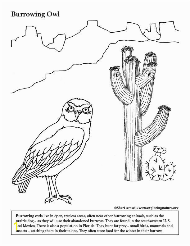 Learn about and color Animals on Exploringnature Coloring Habitats and Animals Pinterest