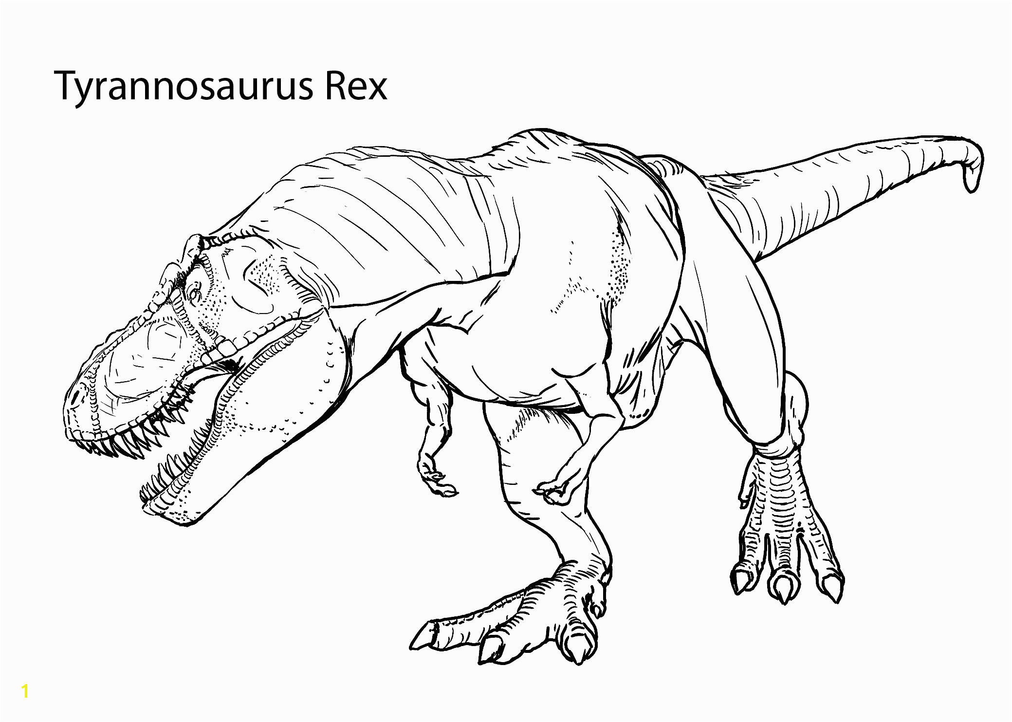 Spinosaurus Vs T Rex Coloring Pages Elegant Dinosaurier Rex Ausmalbilder