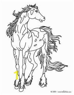 Spotted Horse Coloring Pages 118 Best Horse Color Pages Images On Pinterest