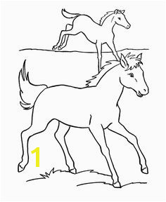 Horse coloring page