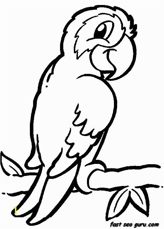 jungle bird parrot coloring pages printable for kids