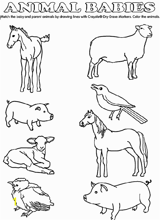 Spring Baby Animal Coloring Pages Match the Baby Animals to their Parents by Drawing Lines with