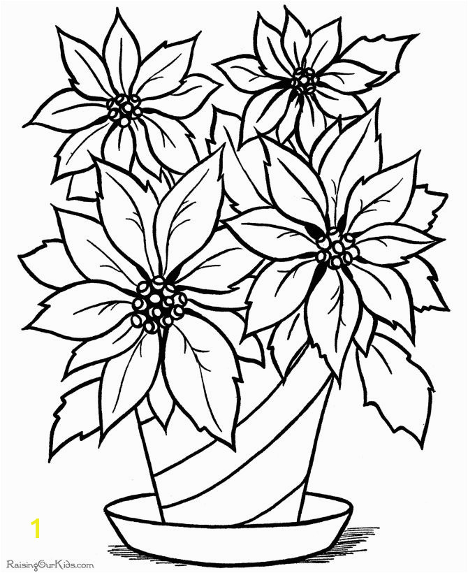 Christmas flower printable coloring page coloring pages Pinterest