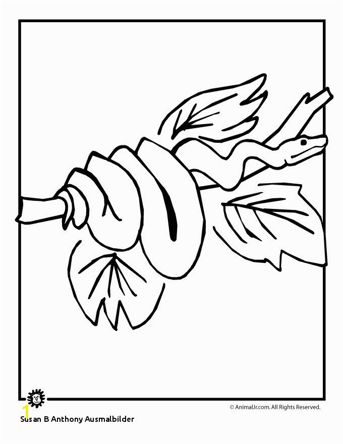 Susan B Anthony Ausmalbilder Rainforest Animals Coloring Pages Awesome Rainforest Animal Coloring