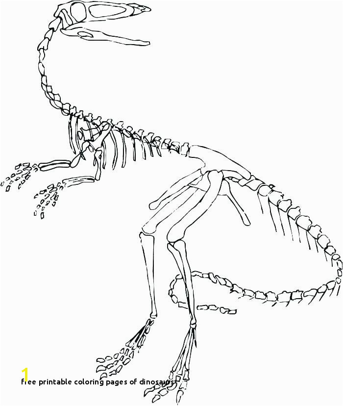 Free Printable Coloring Pages Dinosaurs Dinosaur Skeleton Coloring Pages Book to H Free Dinosaur