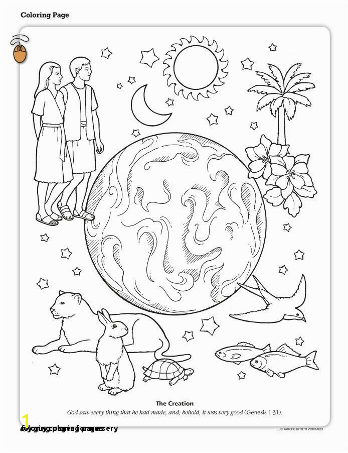 Fly Guy Coloring Pages 24 Coloring Pages for Nursery