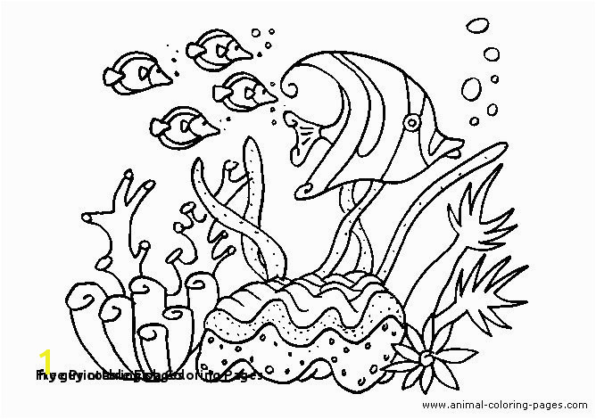 Fly Guy Coloring Pages 25 Free Printable Fish Coloring Pages