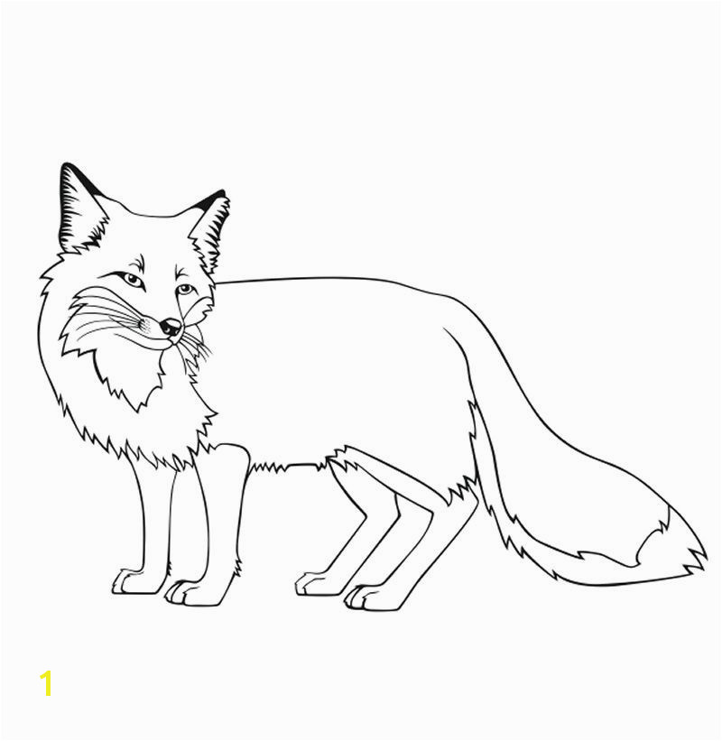 fox coloring sheets fox coloring pages new baby fox coloring pages