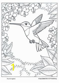 humming bird coloring page Animal Coloring Pages Coloring Pages For Adults Colouring Pages