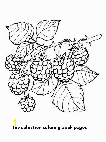 the Selection Coloring Book Pages Blackberry Branch Coloring Page From Blackberry Category Select