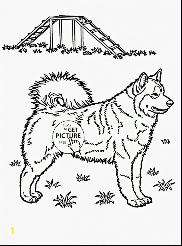 turn pictures into coloring pages free online husky coloring pages beautiful husky coloring 0d free coloring pages fun time of husky coloring pages